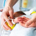 Prebiotics vs Probiotics: Building a Strong Gut Foundation