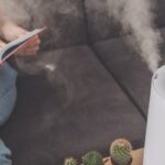 Unlocking Good Health: The Real Story Behind CBD Oils Grabbed