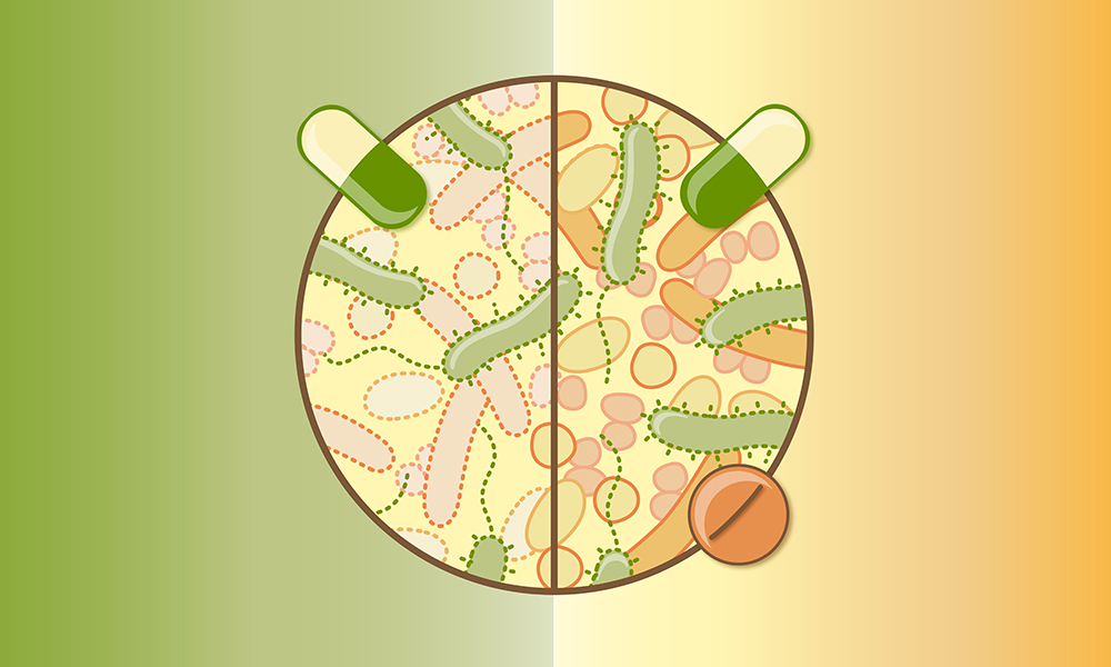 Lyme disease